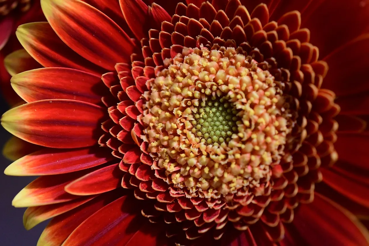 FullSizeRender[1]