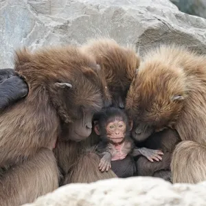 Our cheeky little monkey ;-)