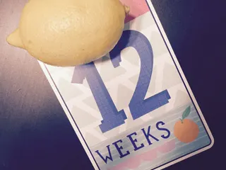 Weeks 12 & 13: The Panorama Test